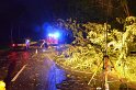 Sturm Radfahrer vom Baum erschlagen Koeln Flittard Duesseldorferstr P23